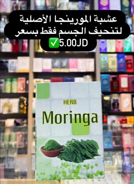 أوراق المورينجا