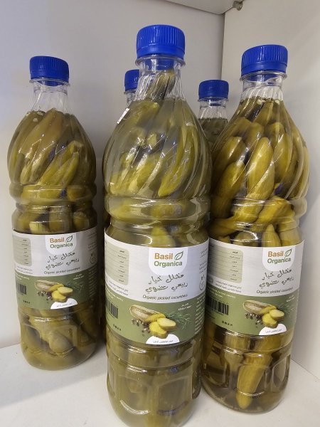 مخلل خيار عضوي بملح بحري صحي